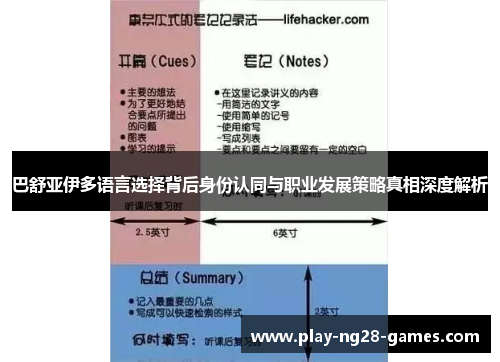 巴舒亚伊多语言选择背后身份认同与职业发展策略真相深度解析
