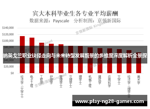 纳英戈兰职业抉择走向与未来转型发展前景的多维度深度解析全景探