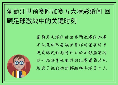 葡萄牙世预赛附加赛五大精彩瞬间 回顾足球激战中的关键时刻